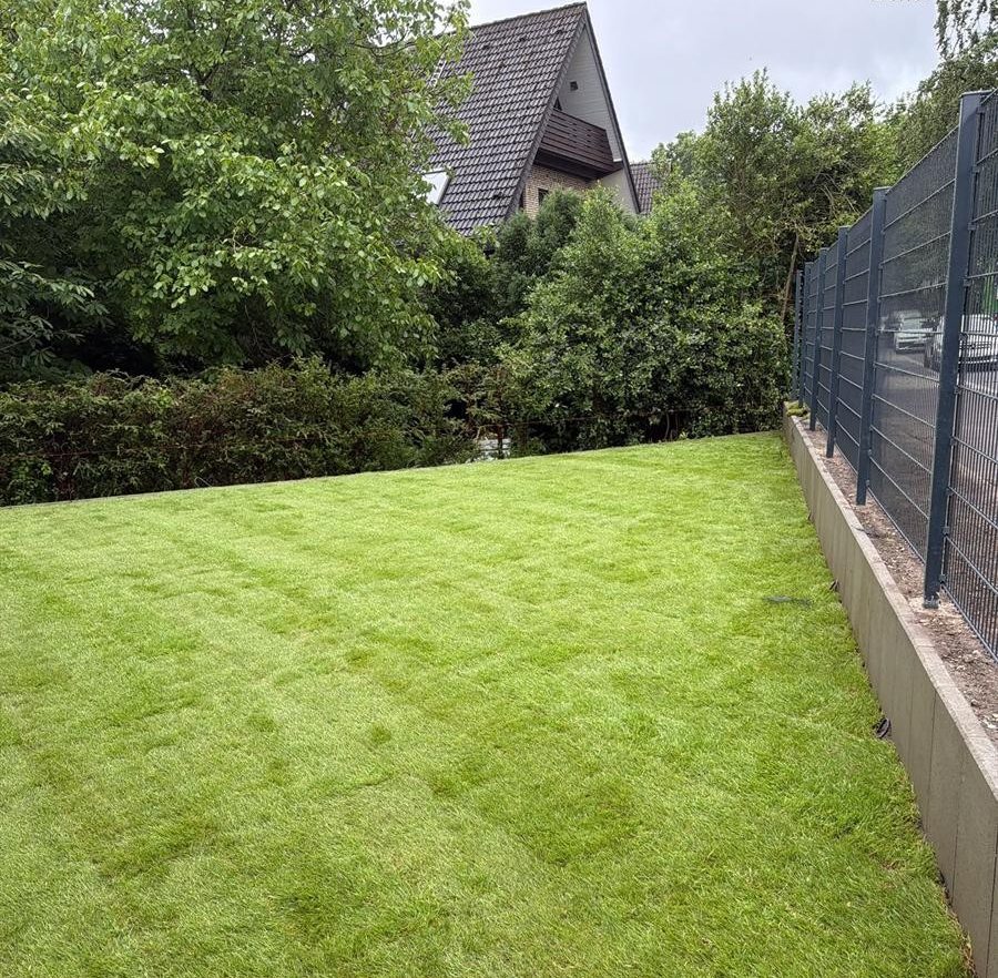 Roll- und Naturrasen Verlegung in Duisburg