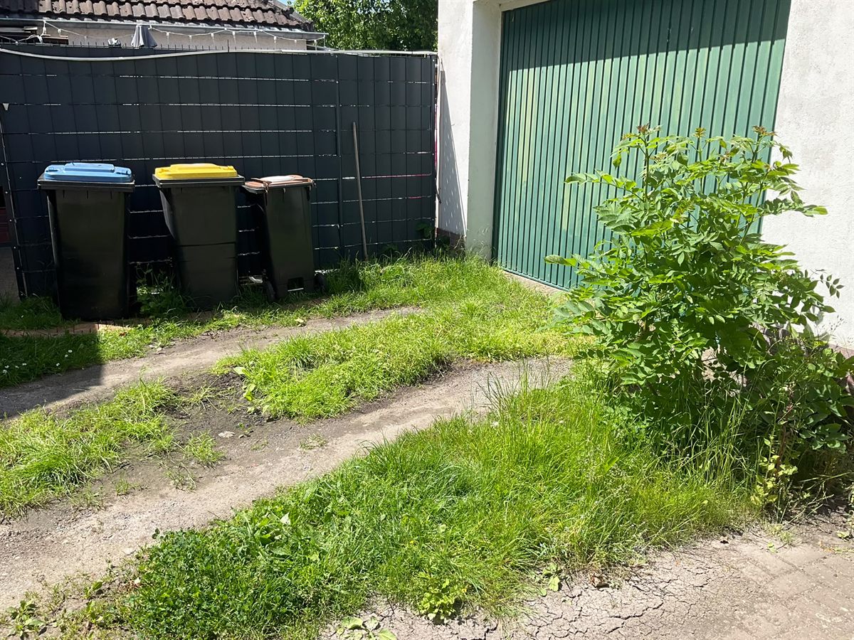 Vorher: ungepflasterter, zugewachsener Bereich